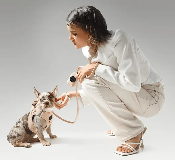 Dogistry